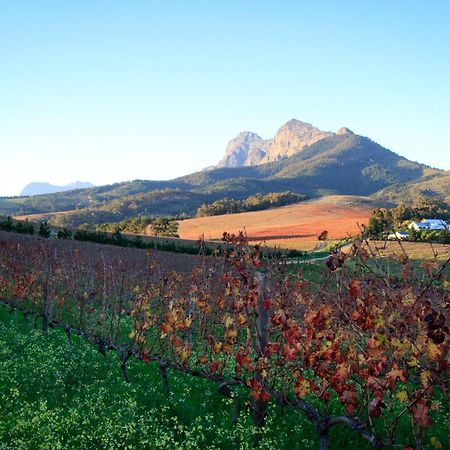 Marianne Wine Estate Panzió Stellenbosch Kültér fotó