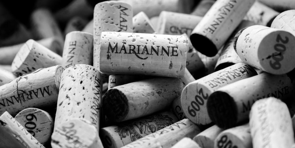 Marianne Wine Estate Panzió Stellenbosch Kültér fotó