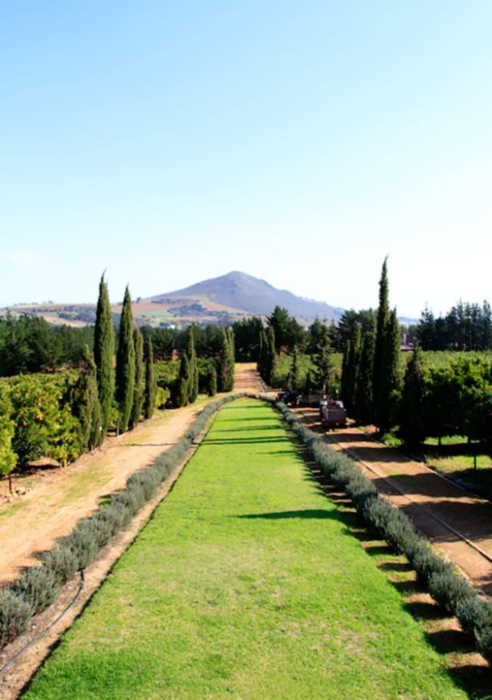 Marianne Wine Estate Panzió Stellenbosch Kültér fotó