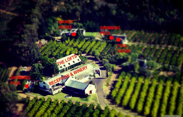 Marianne Wine Estate Panzió Stellenbosch Kültér fotó