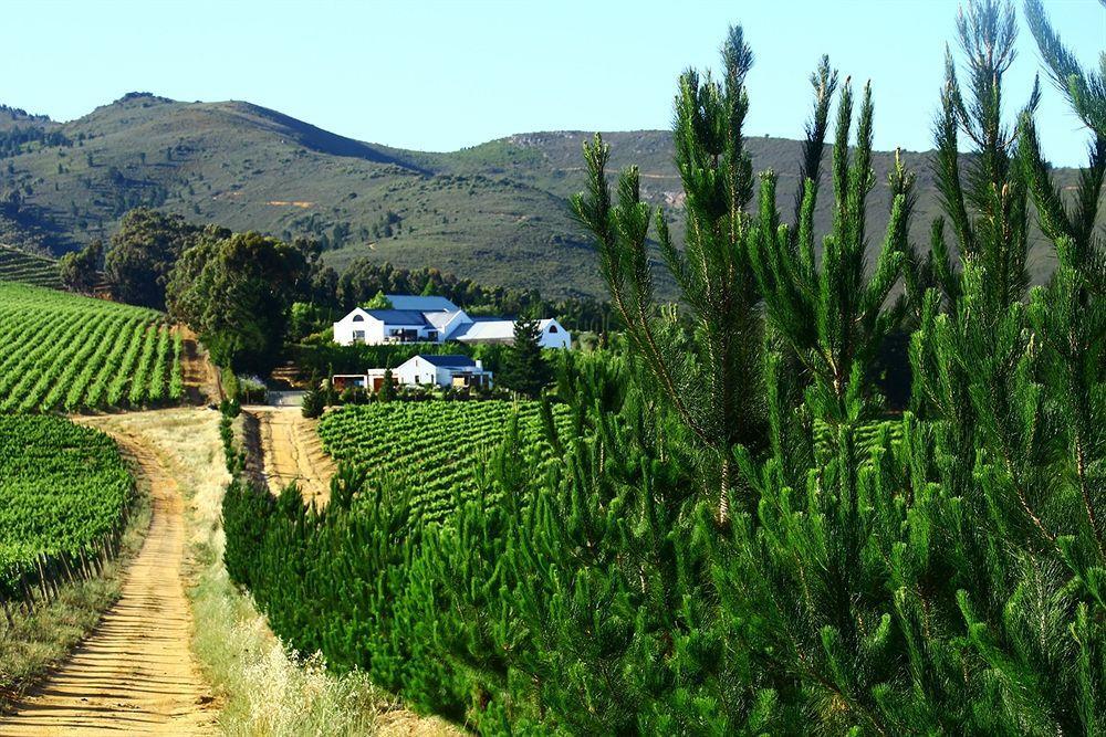 Marianne Wine Estate Panzió Stellenbosch Kültér fotó
