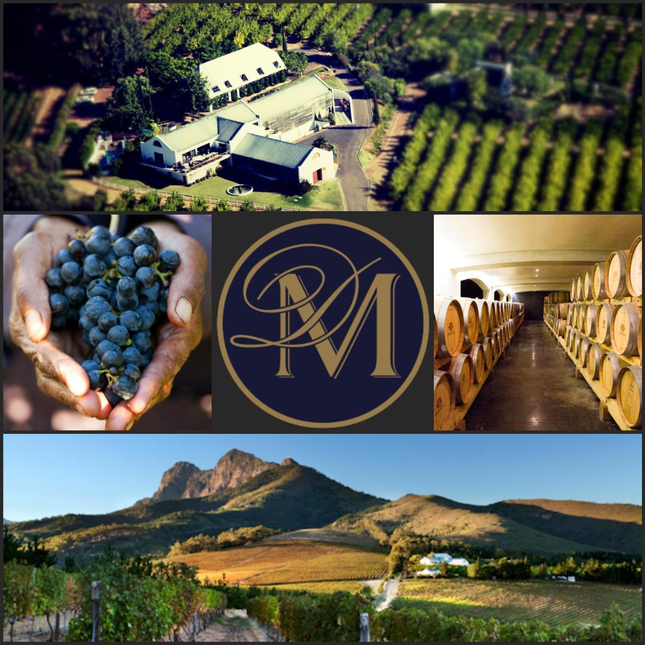 Marianne Wine Estate Panzió Stellenbosch Kültér fotó