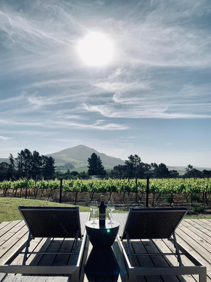 Marianne Wine Estate Panzió Stellenbosch Kültér fotó