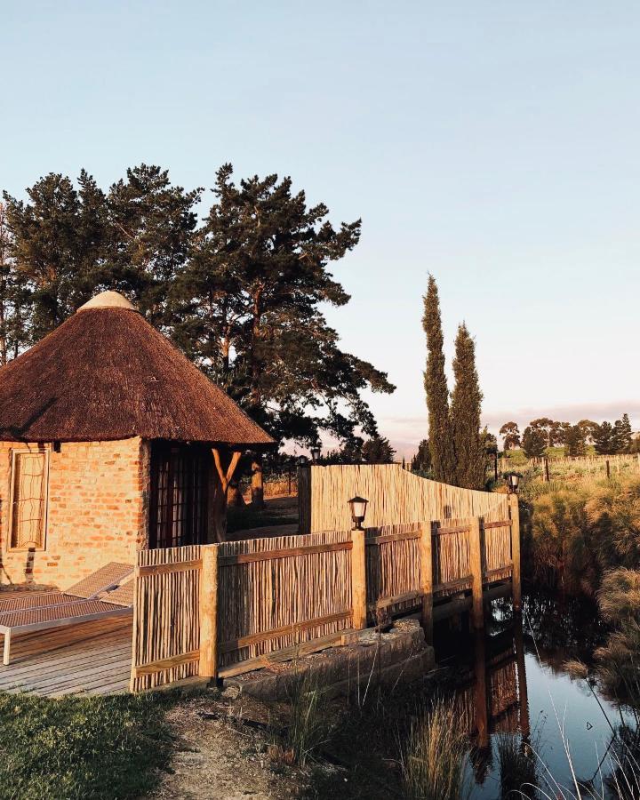 Marianne Wine Estate Panzió Stellenbosch Kültér fotó